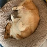 Phil Otto - @phil.otto - Instagram