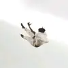 philott - @whois.philott - TikTok