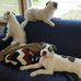 Philip Patti - Facebook
