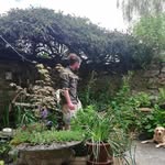 Phil Peacock - @peacockgardens82 - Instagram