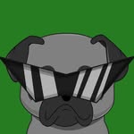 Phil Petty - @puggsbyofficial - Instagram