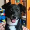 Philip Pfeiffer - @philip.pfeiffer4 - TikTok