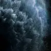 Phil Pham - @philpham_1088 - TikTok