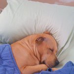 @philphan - Instagram