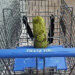 Phil D Pickle - @feel_tha_pickle - Instagram
