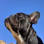 Phil Pickle - @phil__pickle - Instagram