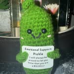 Phil the Dill Pickle - @thesweetlifeofphil - Instagram
