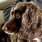Phil Poole - @gog_adventures_ - Instagram