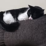 Phil Randall - @phil.randall.336 - Instagram