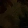 Phil Rausch735 - @philrausch7 - TikTok