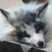 Phil Rausch - Facebook