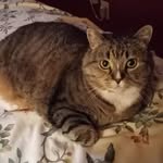 Phil Reeves - @phil.reeves.12532 - Instagram