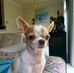 Phil Reichers - Facebook