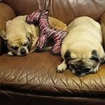 Phil Rhoades - @rhoadesphil - Instagram
