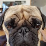 Phil Rowe - @phil.rowe.50364 - Instagram