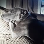 Phil Rowe - @philrowe2303 - Instagram