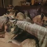 Phil Rowe - @phil.rowe.8 - Instagram