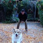 Phil Rowe - @philconcost - Instagram