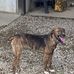 Phillip Rowell - Facebook