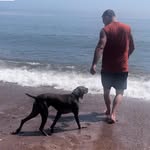 Phil Roy - @philroy75 - Instagram