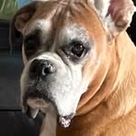 Felipe Ruiz - @philruiz6519 - Instagram