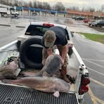 Phillip Runge - Facebook