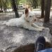 Philippe Scarano - Facebook