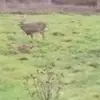 Philip Sheldon - @philip.sheldon - TikTok