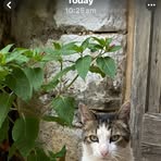 Phillip Somerville - Facebook