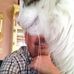 Philip Swanson - Facebook
