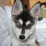 Phil Terrell - @philliphterrell - Instagram