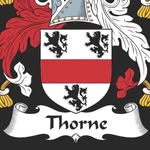 Phil Thorne - @follow_the_bear - Instagram