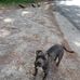Phillip Thrasher - Facebook