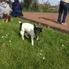 Philippe Trapani - @philippe.trapani - TikTok