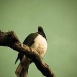 Phil Vaughan - @nudgit45 - Instagram