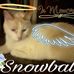 Patrick Phillips Vecchio - Facebook