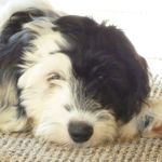 Phil Vickers - @weardad - Instagram