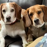 Phil Villa - @phil.villa.98 - Instagram