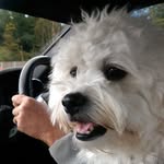 Phil Walton - @philwalton8 - Instagram