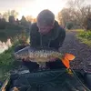 Phil Walton - @philwalton1 - TikTok