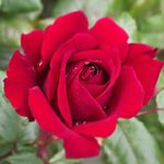 Phil Warner - @keyweeman - Instagram