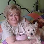 Phil Watkinson - @phil.watkinson.52 - Instagram