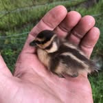 Phil Webber - @fat_tonys_creations - Instagram