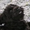 Phil Webber - @phil.webber8 - TikTok