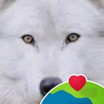 Phil Wolf - Facebook