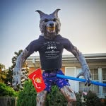 Phil Wolf - @philthewolf_500 - Instagram