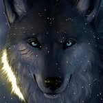 Philwolf - @philwol2 - Instagram