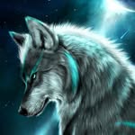 philwolf_fit - @philwolf_fit - Instagram