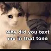 Dr.phil.is.yum69 - @im.a.bit.of.a.gay.rat - TikTok
