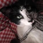 philip alberto avelardo - @philip_my_love00 - Instagram